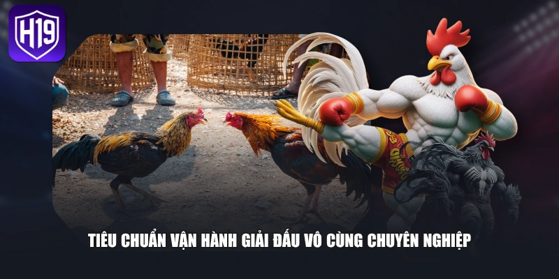 Tiêu chuẩn vận hành giải đấu vô cùng chuyên nghiệp